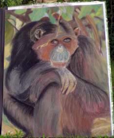 Dessin au pastel sec : format 65x50