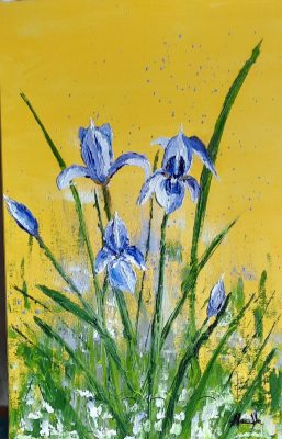 "Elégants iris